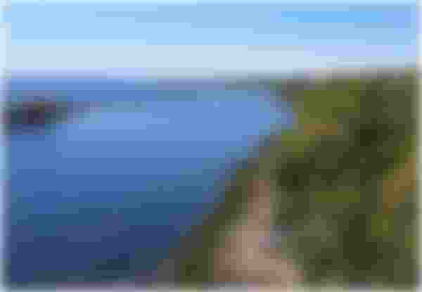 image alt text